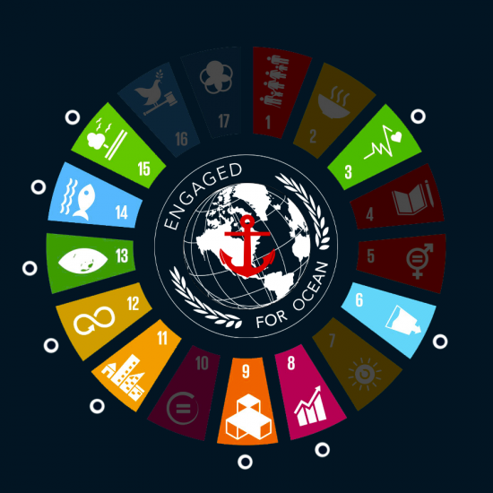 ok-Points- Engaged For Ocean onu goals selected